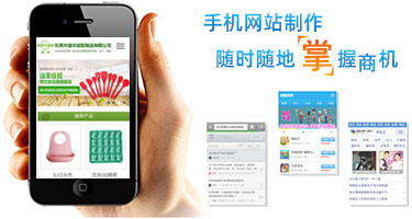 �ֻ���վ����